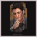 Sentinel - Kurtlar Vadisi - Gece Görüşü