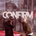 Confirm (feat. Sarkodie)(Remix)