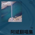 斌斌 - 阿妹的酒