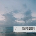 佳小夏 - 是你 (Live)