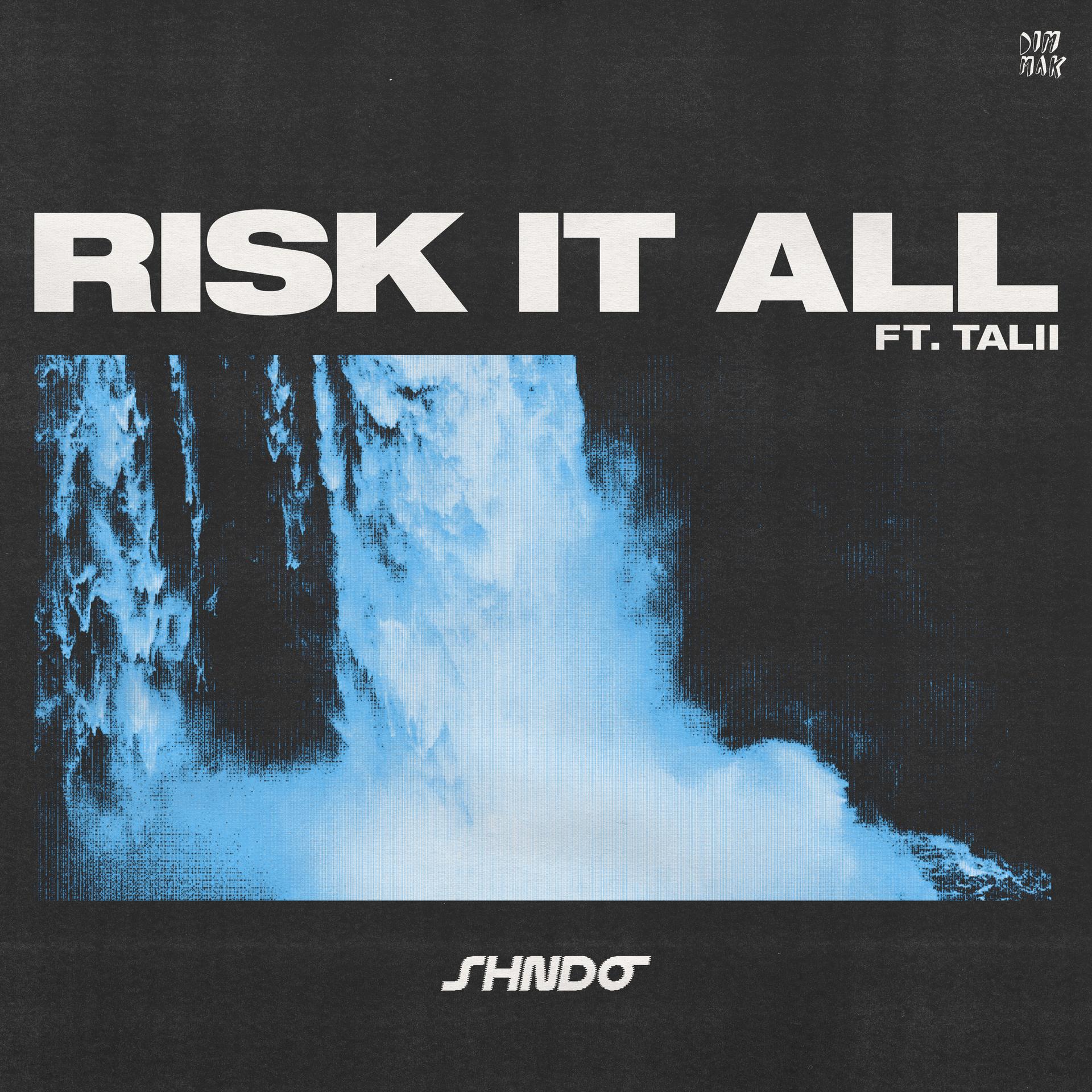 shndō、Talii - Risk It All (Extended Mix)
