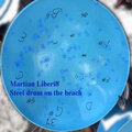 Martian liberio - Gabbiano