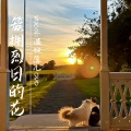 温婉落儿ovo - 簇拥烈日的花