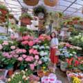与君歌一曲