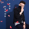 杜留香 - 忧伤的沉默