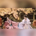 橘君、是个潘呀 - 偏爱人间烟火