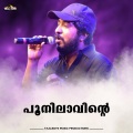 Poonilaavinte