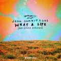 John Summit、Guz、Stevie Appleton - What A Life (feat. Stevie Appleton)