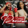 BING BONG [feat. Sexyy Red] (Remix|Explicit)