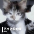 hroli - 下水道的蚂蚁