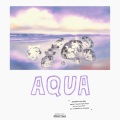 Aqua (Explicit)