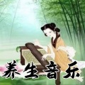 梅花三弄 (古法音乐疗法，五音养五脏)