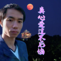真心爱过不后悔