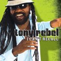tony rebel、Patrick Barrett - I Can't Recall (Clean)