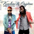 Konshens、Gyptian - Like Woow