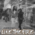 Like The Fire (feat. Thunder Bklu) (Explicit)