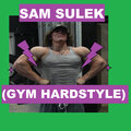 Realyzed - Sam Sulek (Gym Hardstyle)