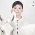 戈畅 - 白马少年