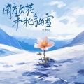 南方的花和北方的雪