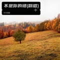 时凤很甜 - 老鼠爱大米