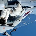 Aaaa Cat Helicopter - Zombie Love