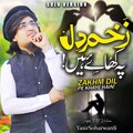 Zakhm Dil Pe Khaye Hain (Solo Version)