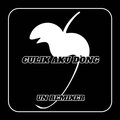 DJ Aduh Sayang Culik Aku Dong Fyp