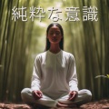睡眠音楽のアカデミー - 再生 Meditation