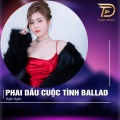 Phai Dấu Cuộc Tình (Ballad)