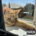 Afterhour Productions、RJ Pasin - confide (feat. Rj Pasin) (Explicit)