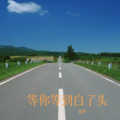 等你等到白了头