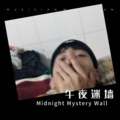 阿YY - 午夜迷墙