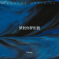 苏宇航 - 其实都没有