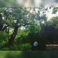 傾宇YU - 此生皆欢喜