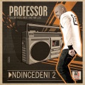 Ndincedeni 2 (feat. Dalom Kids, MSK and Mr Luu)