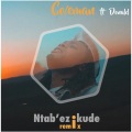 Ntab'ezikude (feat. Donald)(Remix)