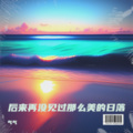 后来再没见过那么美的日落