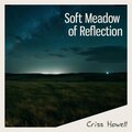 Soft Meadow of Reflection