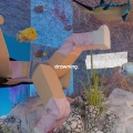 sister lottle - anal