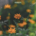 虞美人 - 纯属意外