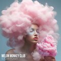 Sugar Flash (Deep House Mix)