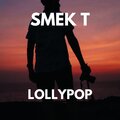 Smek T - The Elegant Spectacle