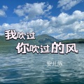安儿陈 - 我吹过你吹过的风