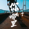 张敏敏、AI - 你去了哪里