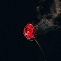 Sy Ari Da Kid、Crystal Carr - The Four Seasons