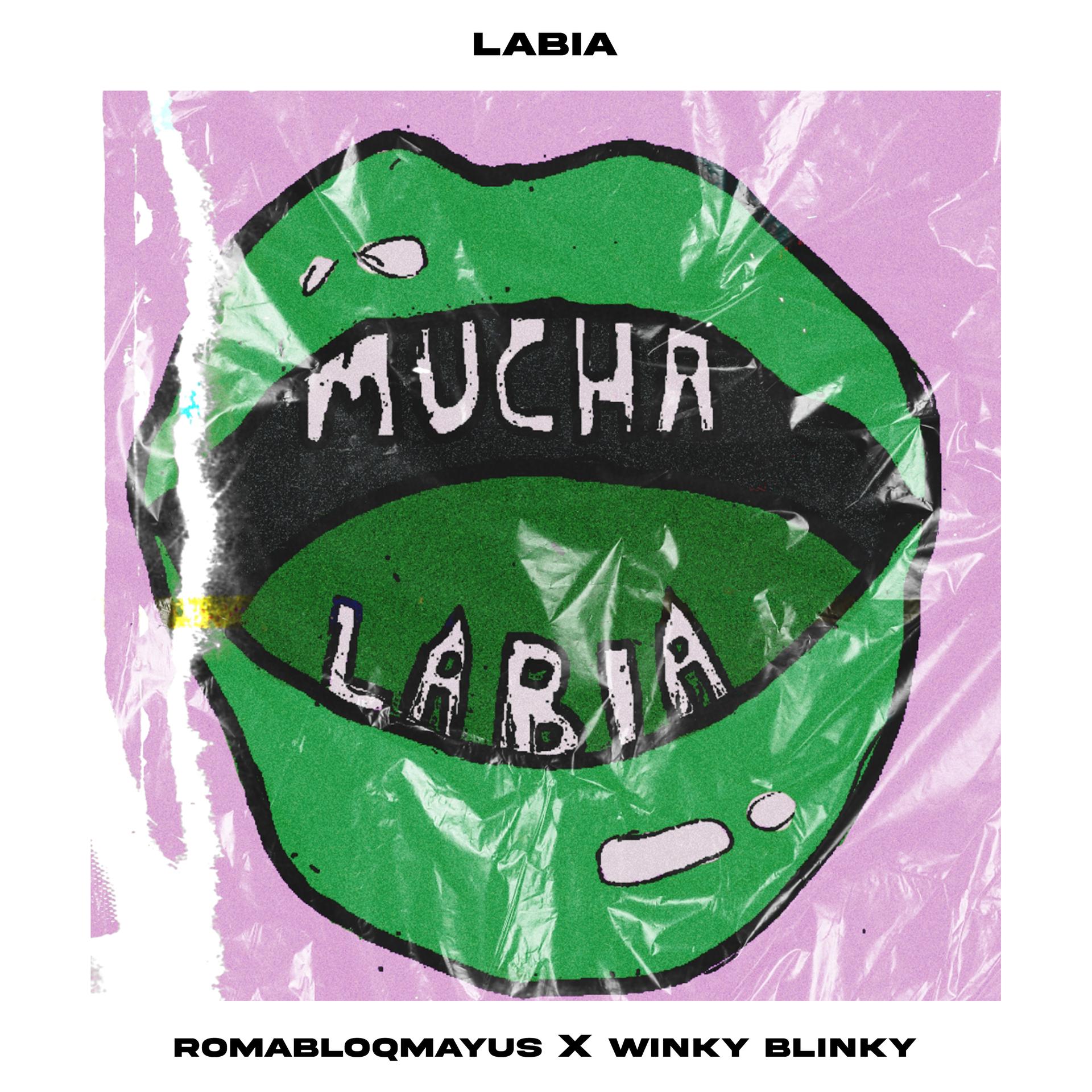 romabloqmayus、winkyblinkytrap - Mucha labia (Explicit)