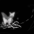 Diluv - 总有小部分东西留住你