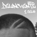 S. CIELO - DELINCUENTE
