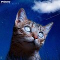 Diogo Ribeiro - Pódio