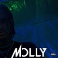 Lipe 808、Montana 23k - Molly (feat. Montana 23k) (Explicit)